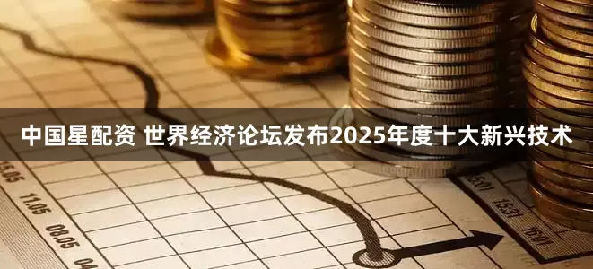 中国星配资 世界经济论坛发布2025年度十大新兴技术